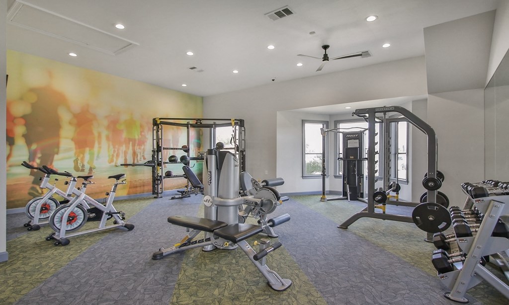 a gym with weights and exercise equipment in a building with a mural at Sladestone Shadow Creek, Texas, 77584