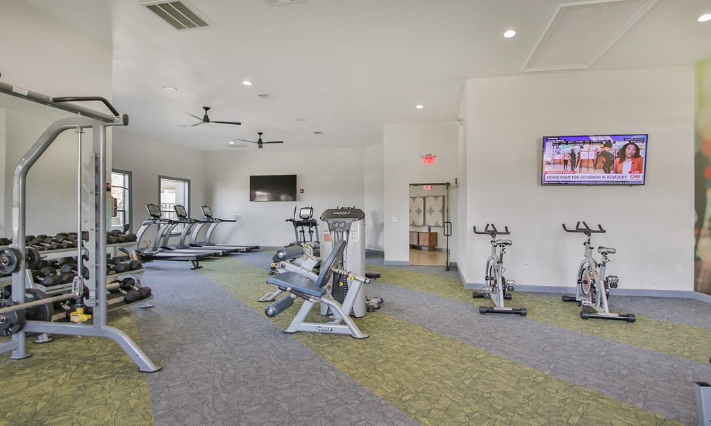 a gym with weights and cardio equipment and a tv at Sladestone Shadow Creek, Pearland, TX