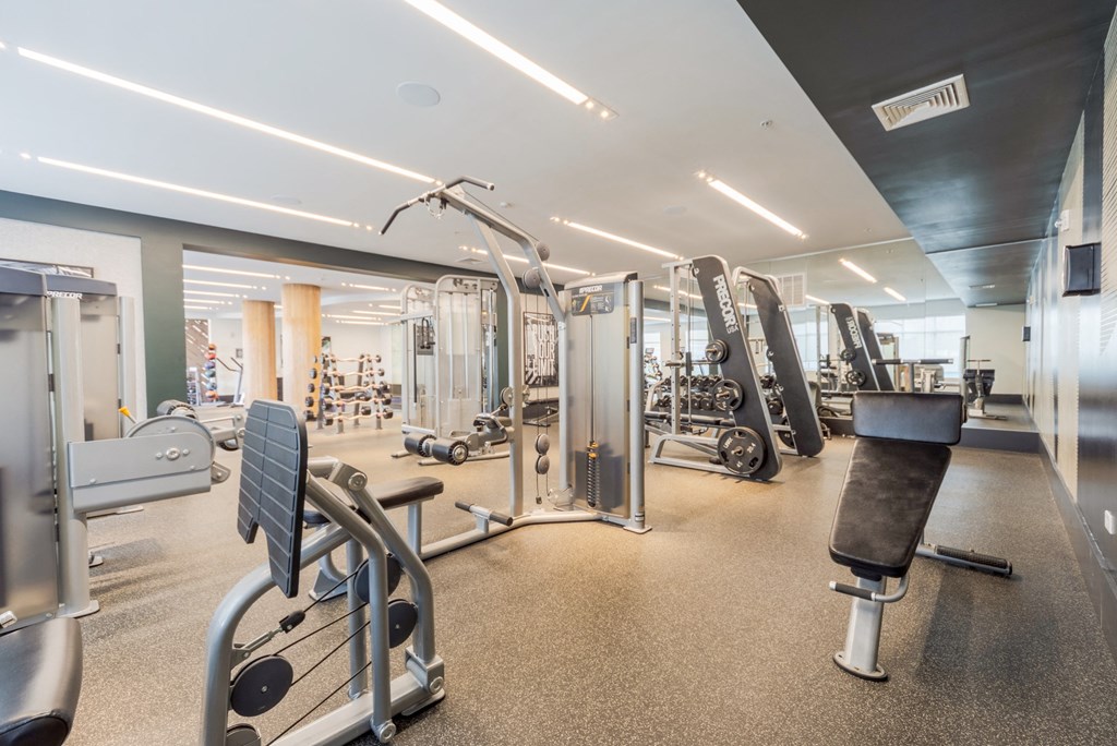 Weight Machines in the Fitness Center at The Heights at Glen Mills in Glen Mills, PA 19342