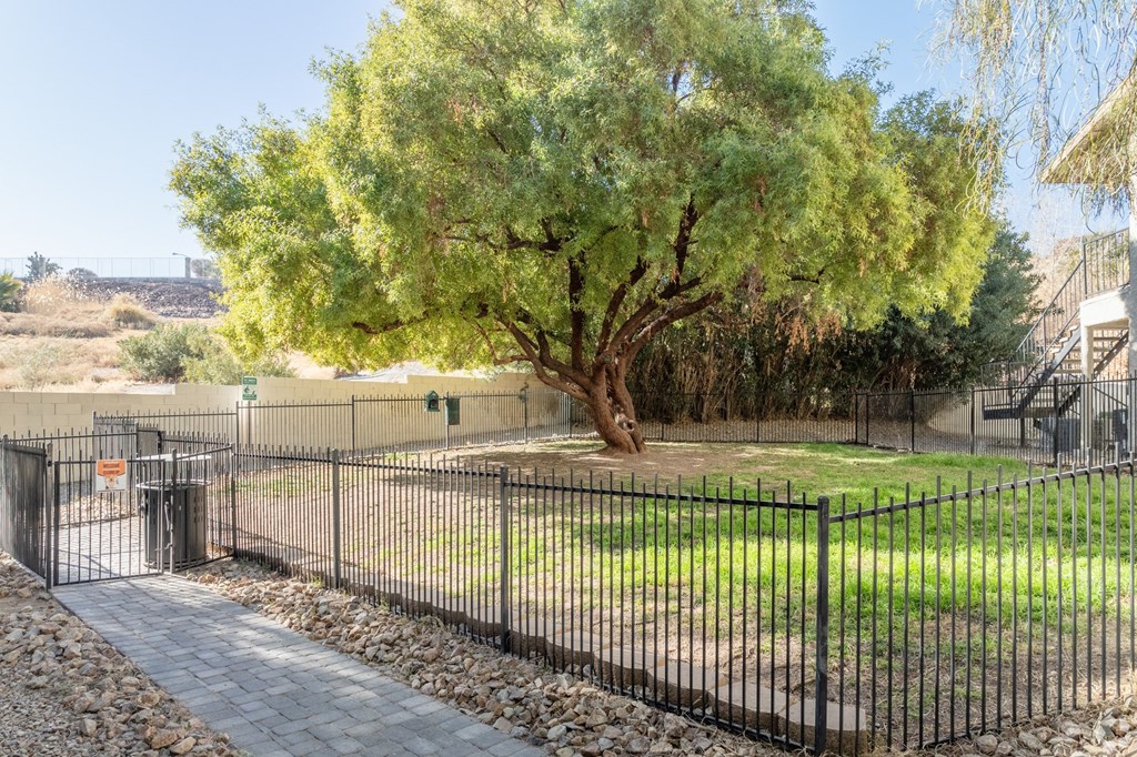 Mature landscaping at Sunset Winds in Henderson, NV 89014