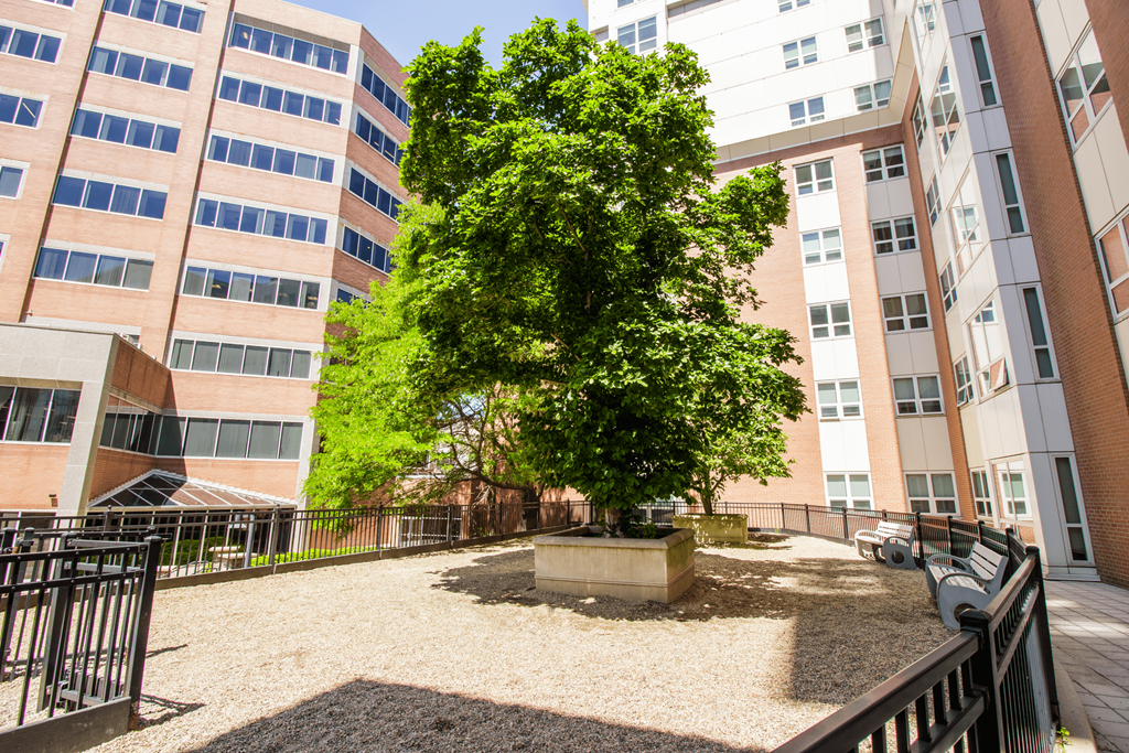 Dog Park at The Amelia in Quincy, MA 02169