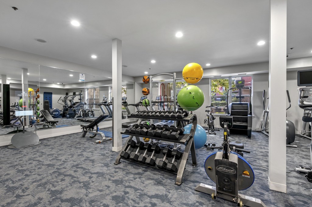 24-Hour Fitness Center at Avant at the Arboretum Apartments in Lisle, IL 60532