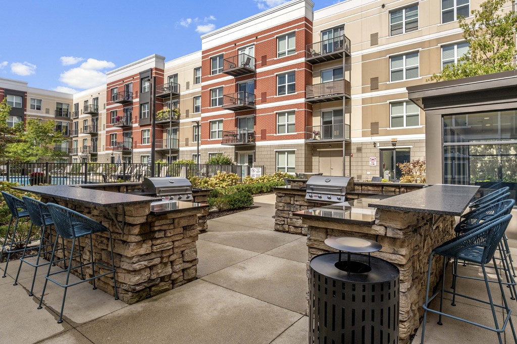 Outdoor Grill Station at Avant at the Arboretum Apartments in Lisle, IL 60532
