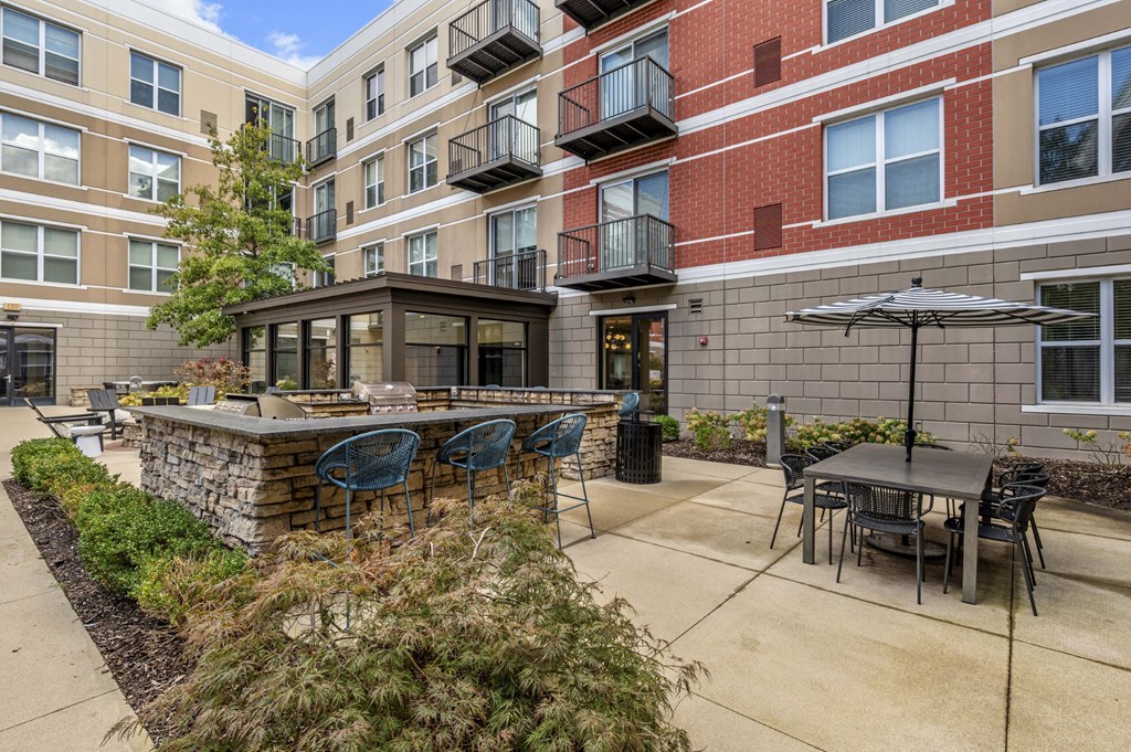 Outdoor Grill Station at Avant at the Arboretum Apartments in Lisle, IL 60532
