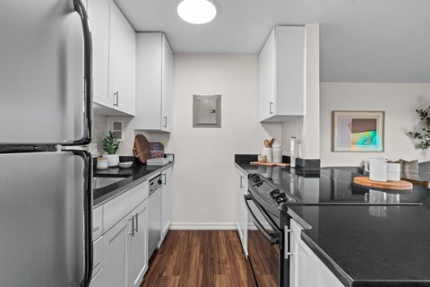 Modern Kitchen at Skye Apartments in Seattle, WA 98121