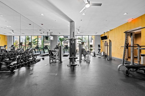 A gym with a variety of equipment including treadmills, weights, and exercise machines.