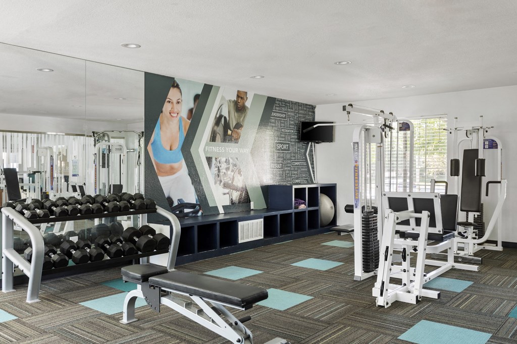 a gym with weights and other exercise equipments and a large wall mural of women  at Verona, Littleton, 80123