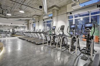 a row of cardio machines in a fitness gym at L Seven, California