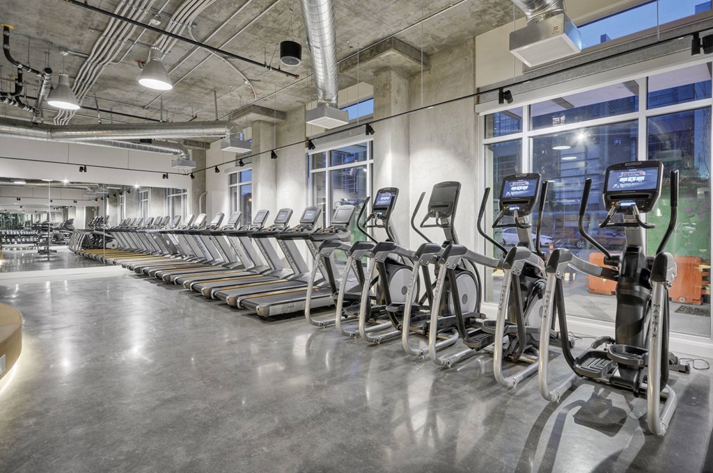 a row of cardio machines in a fitness gym at L Seven, San Francisco, CA