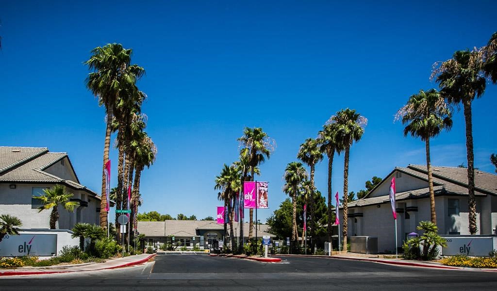 a street with palm trees in front of houses