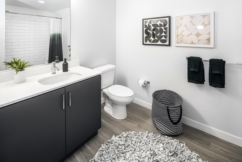 a bathroom with a sink and a toilet