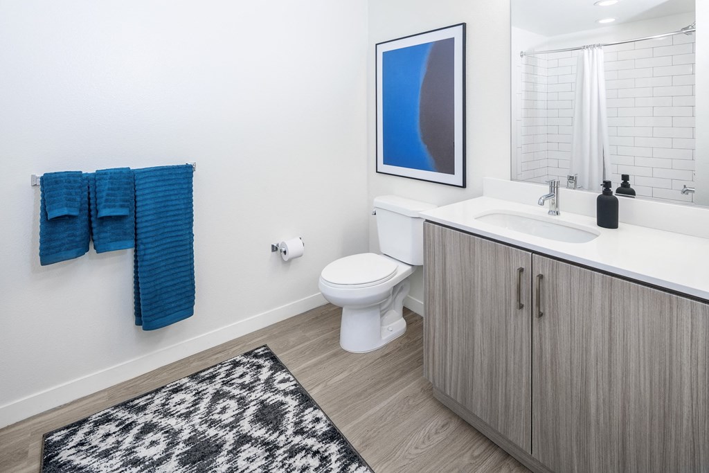 a bathroom with a toilet and a sink and a mirror