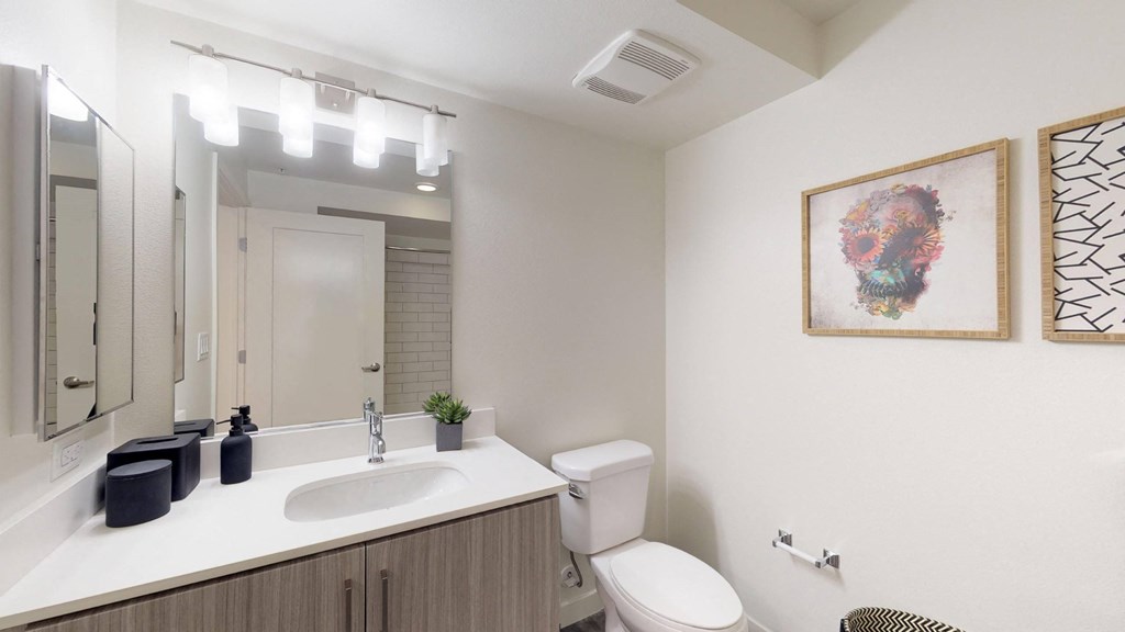 a bathroom with a sink and a toilet and a mirror