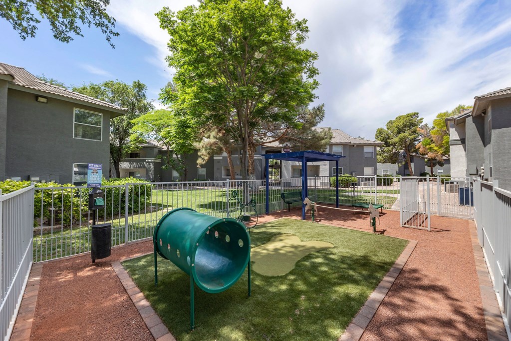 dog park with playground and tree at Paisley and Pointe Apartments, Nevada