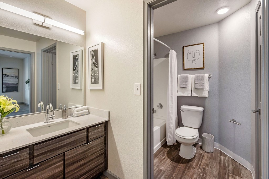 a bathroom with a mirror and a sink and a toilet at Paisley and Pointe Apartments, Nevada