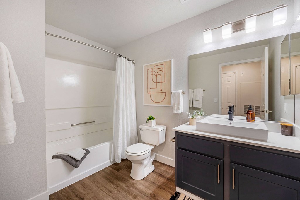 a bathroom with a toilet sink and shower and a mirror at Paisley and Pointe Apartments, Nevada, 89130