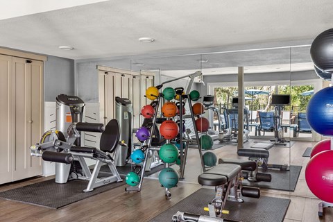 the gym is equipped with weights and cardio equipment at Arcadia Apartments, Centennial, Colorado