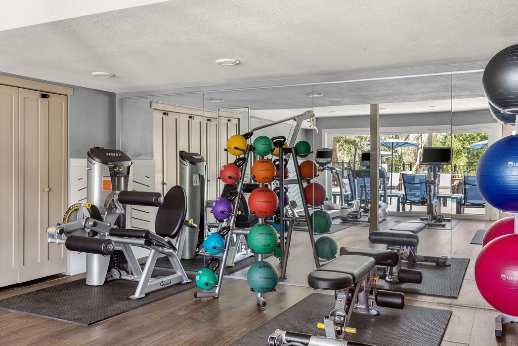 the gym is equipped with weights and cardio equipment the gym is equipped with weights and cardio equipment at Arcadia Apartments, Centennial, Colorado