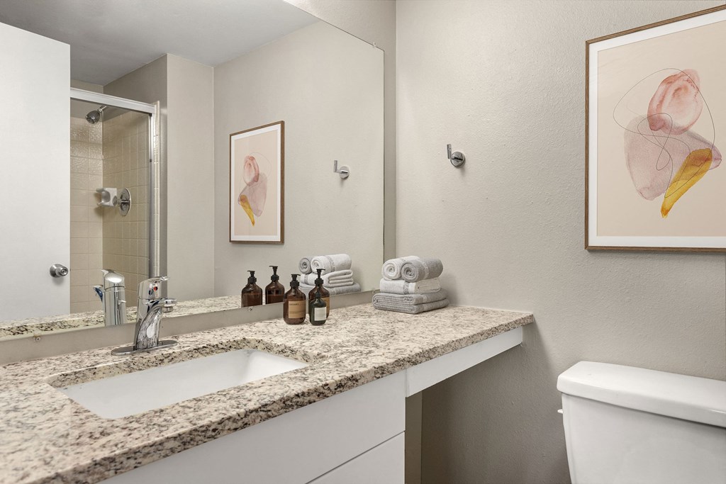 a bathroom with a sink and a mirror and a toilet at Arcadia Apartments, Colorado