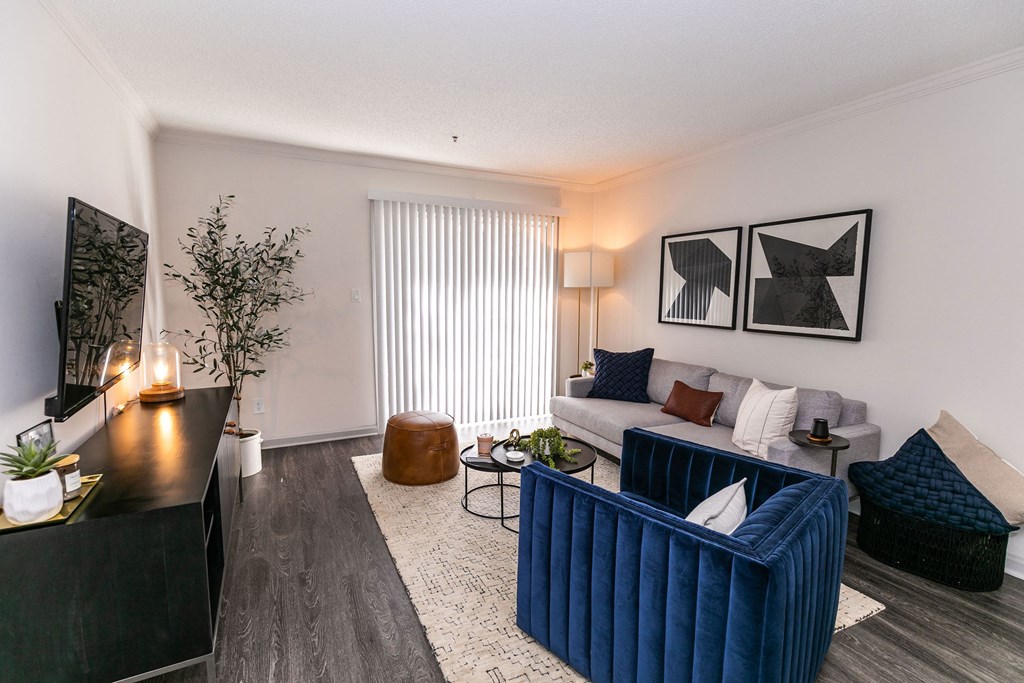 a living room with a couch and a tv a living room with a couch and a tv at Briarcliff Apartments, Atlanta, 30329