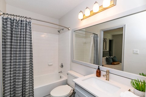 a bathroom with a sink and a mirror and a tub at Briarcliff Apartments, Georgia, 30329