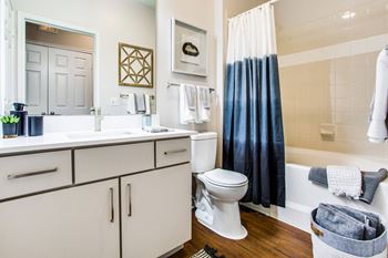 Bathroom With Bathtub at Carrington at Barker Cypress, Cypress