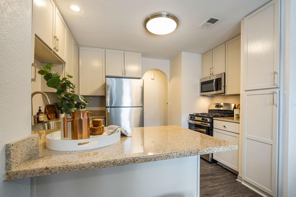 Updated Unit Kitchen