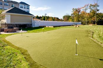 a putting green with trees in the background at Heights at Glen Mills, Pennsylvania,19342