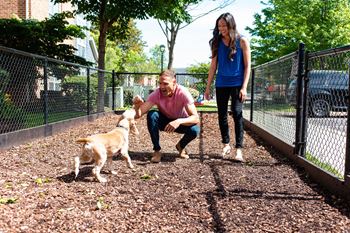 a man and a woman playing with a dog at The Residences at Springfield Station, Virginia