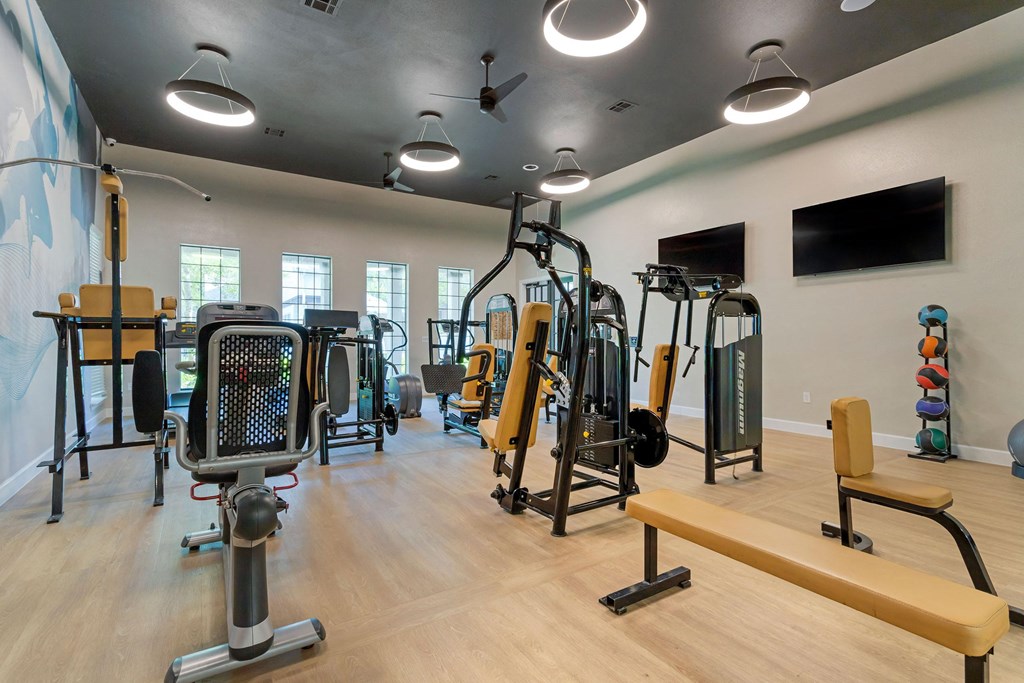 a gym with weights and cardio equipment and a tv on the wall at Summerwind, Pearland, 77584