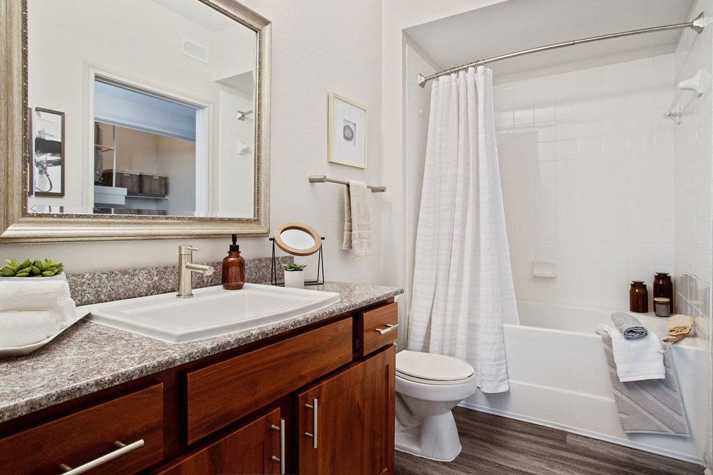 a bathroom with a sink and a toilet and a shower