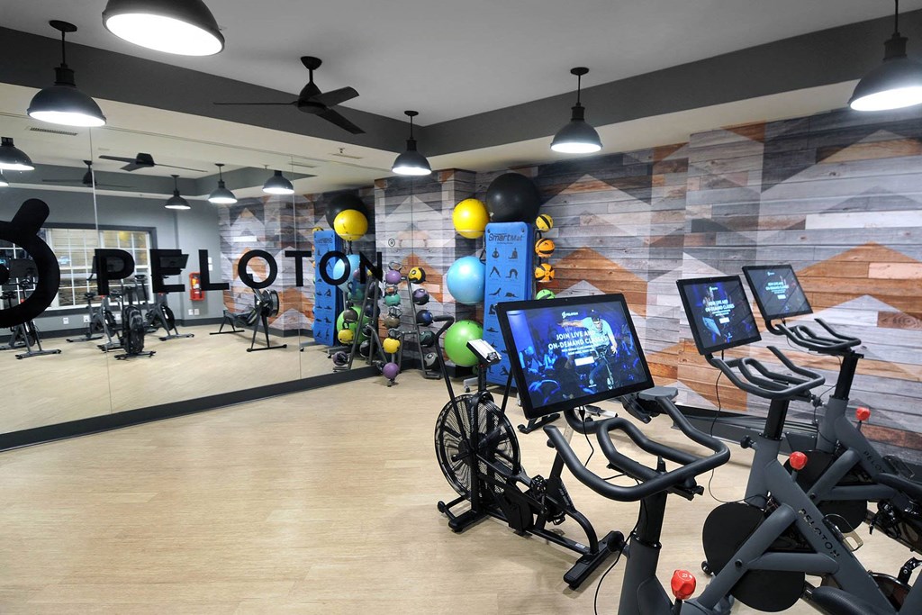 a workout room with a bunch of exercise bikes and balls in it