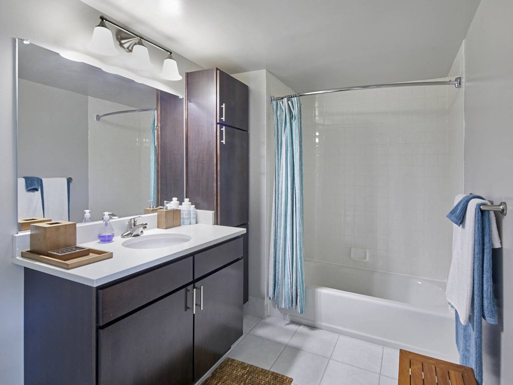 Bright Bathroom at 15 Bank Apartments, White Plains, NY