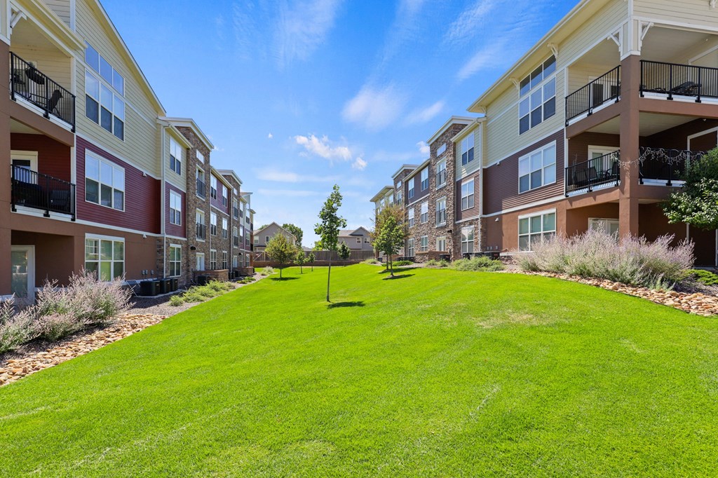 grass courtyard between apartment buildings at Ridge at Thornton Station Apartments, Colorado