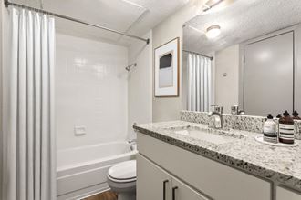 a bathroom with a sink and a toilet and a shower at South Lamar Village, Texas