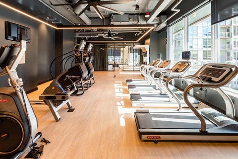 A gym with treadmills and elliptical machines.