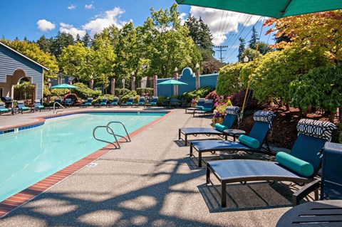 A pool surrounded by trees and chairs.