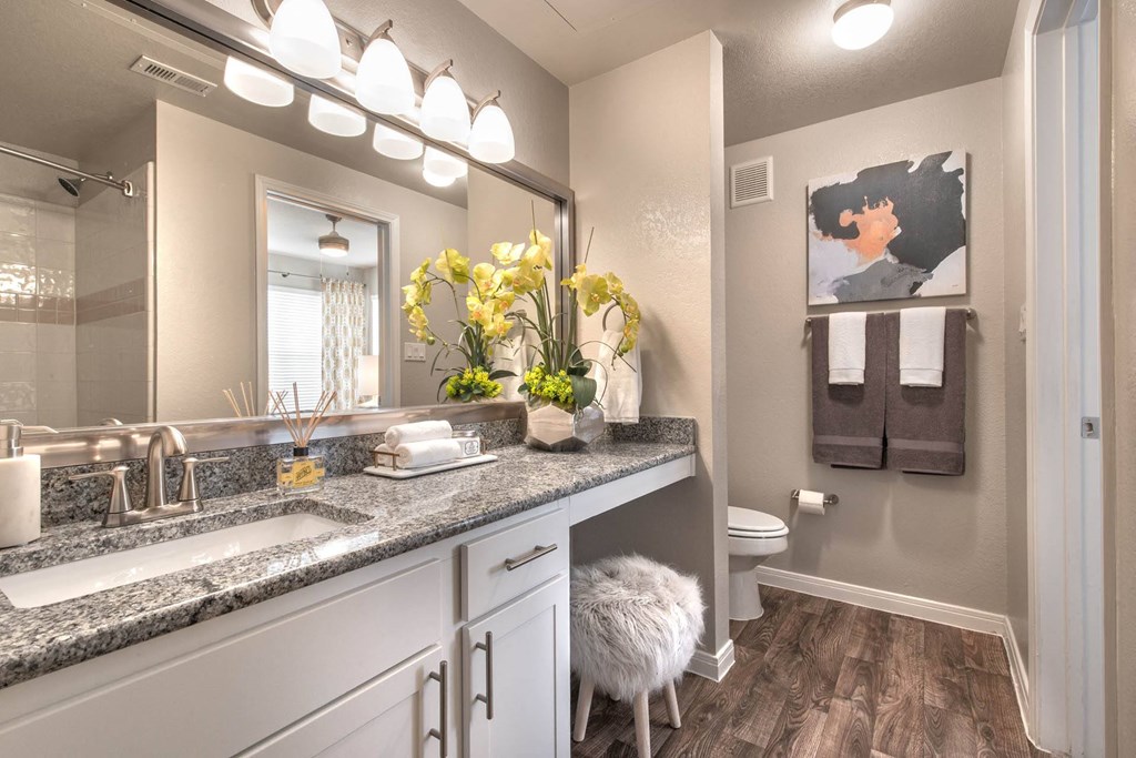 Creekside Bathroom at Creekside at Legacy, Plano, 75024