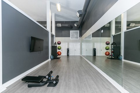 a fitness room with weights and a tv on the wall  at Deerfield Village, Georgia