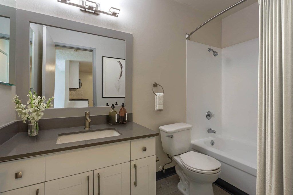 a bathroom with a sink and a toilet and a tub at Delphine on Diamond, California