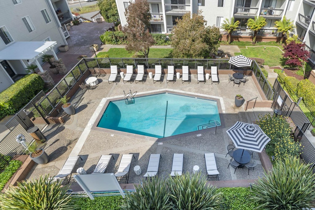 an aerial view of a pool with chairs and umbrellas at Delphine on Diamond, San Francisco, California