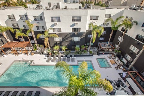 Courtyard pool area with spa and palm trees at Duet on Wilcox Apartments, Los Angeles, CA
