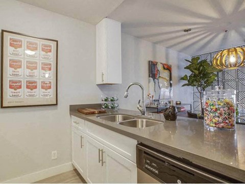 a kitchen with a sink and a dishwasher
