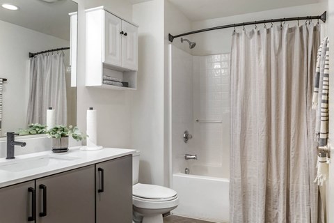 a bathroom with a shower and a sink and a toilet at Highland Mill Lofts, Charlotte, North Carolina