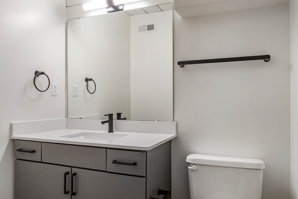 a bathroom with a sink and a mirror and a toilet at Highland Mill Lofts, North Carolina