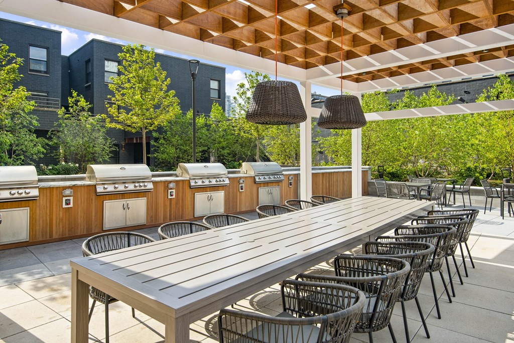 Grill Stations at River North Park Apartments, Chicago, Illinois