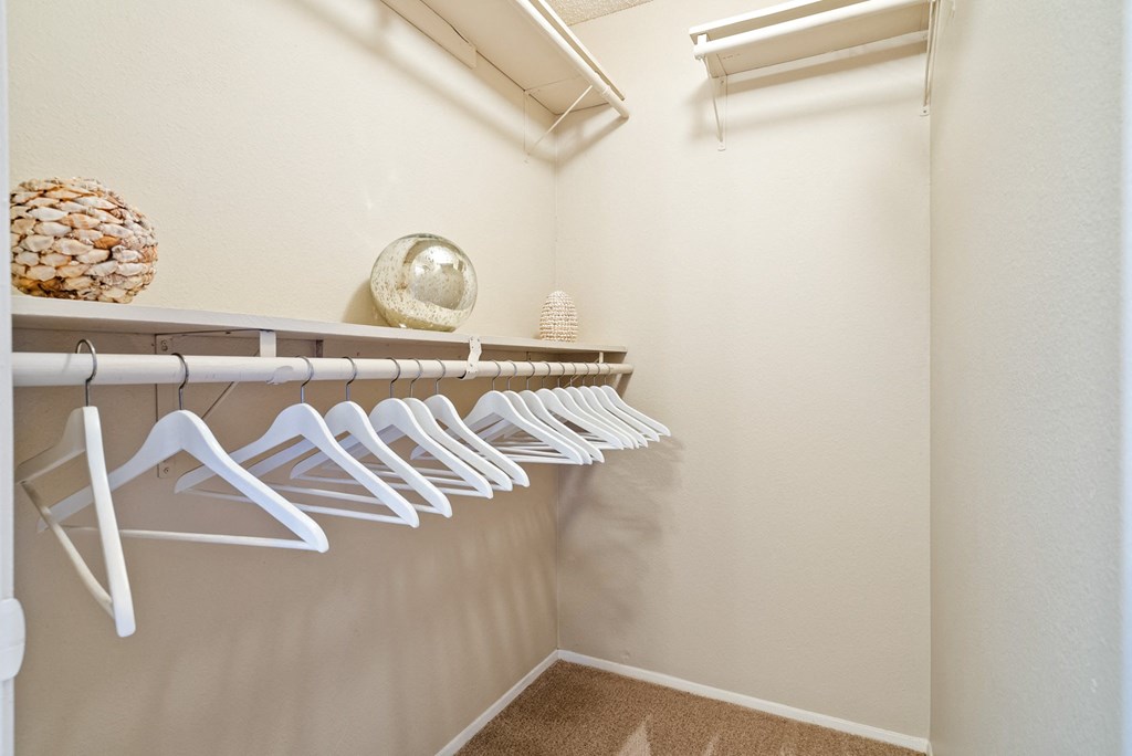 Huge closet in primary bedroom at River Oaks in Oceanside, CA