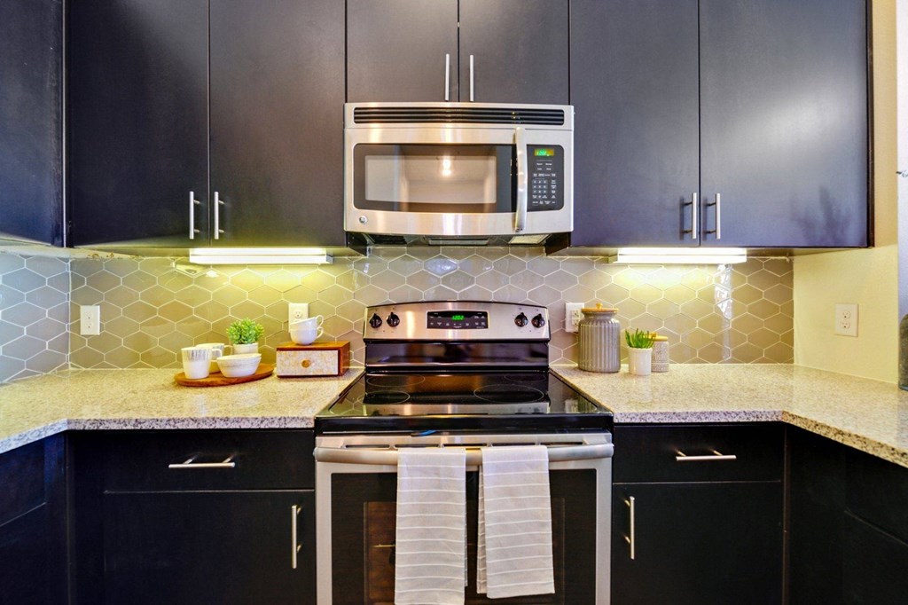 a kitchen with black cabinets and a stove and a microwave at South Side Flats, Dallas, 75215