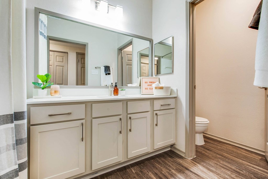 a bathroom with a large mirror and a sink