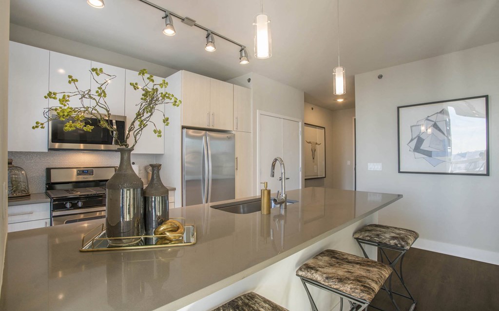 Gourmet Kitchen at The Elle Apartments, Chicago, Illinois